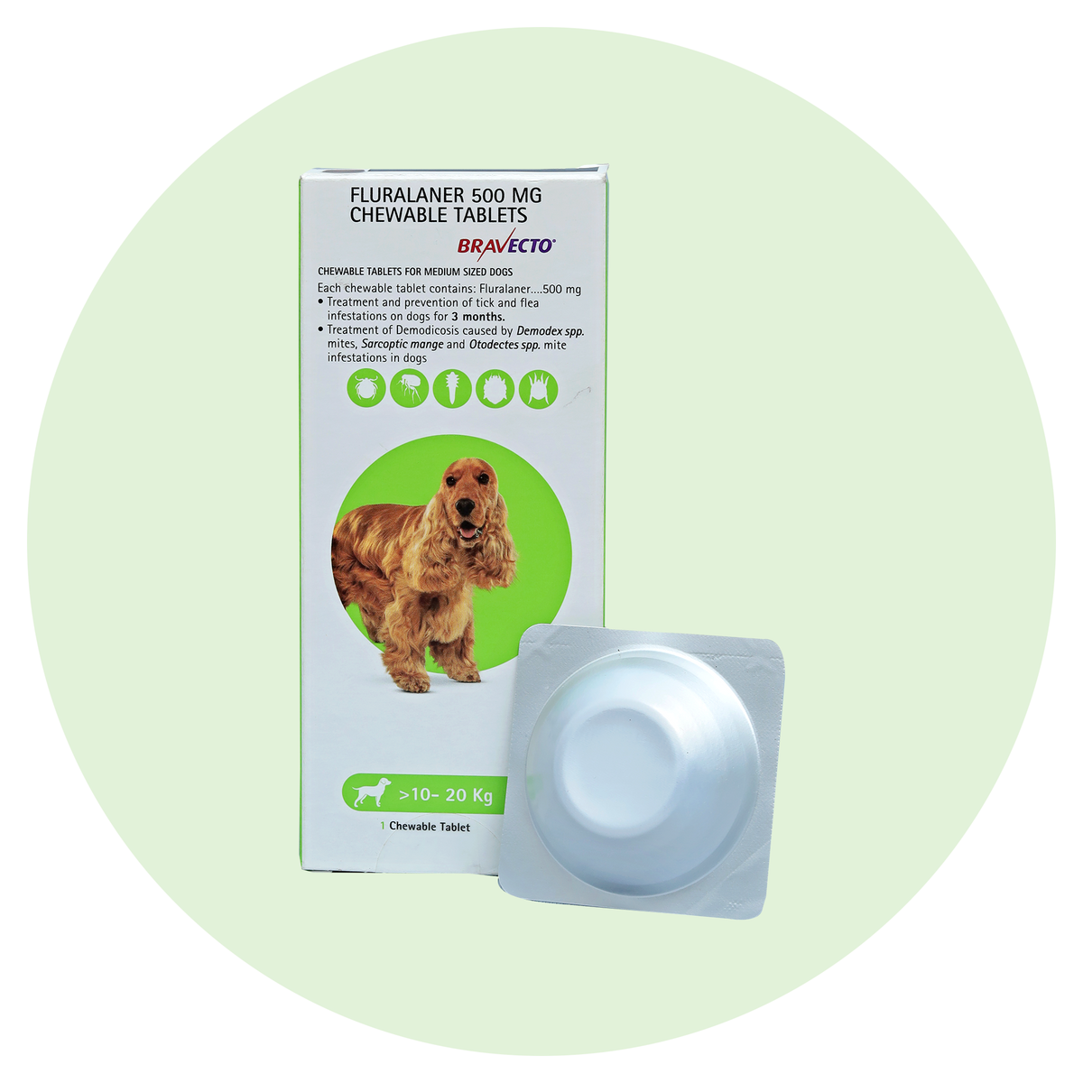 Bravecto 500 mg for dogs hot sale