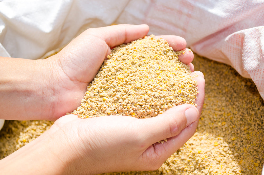 Conquer Stress with Innovative Poultry Feed Supplements: A Safer Option for Your Flock