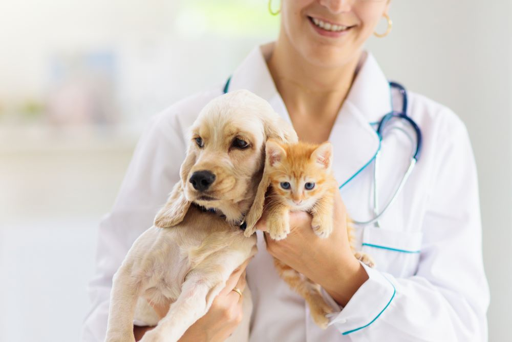 Bolus: Why it's important for animal health