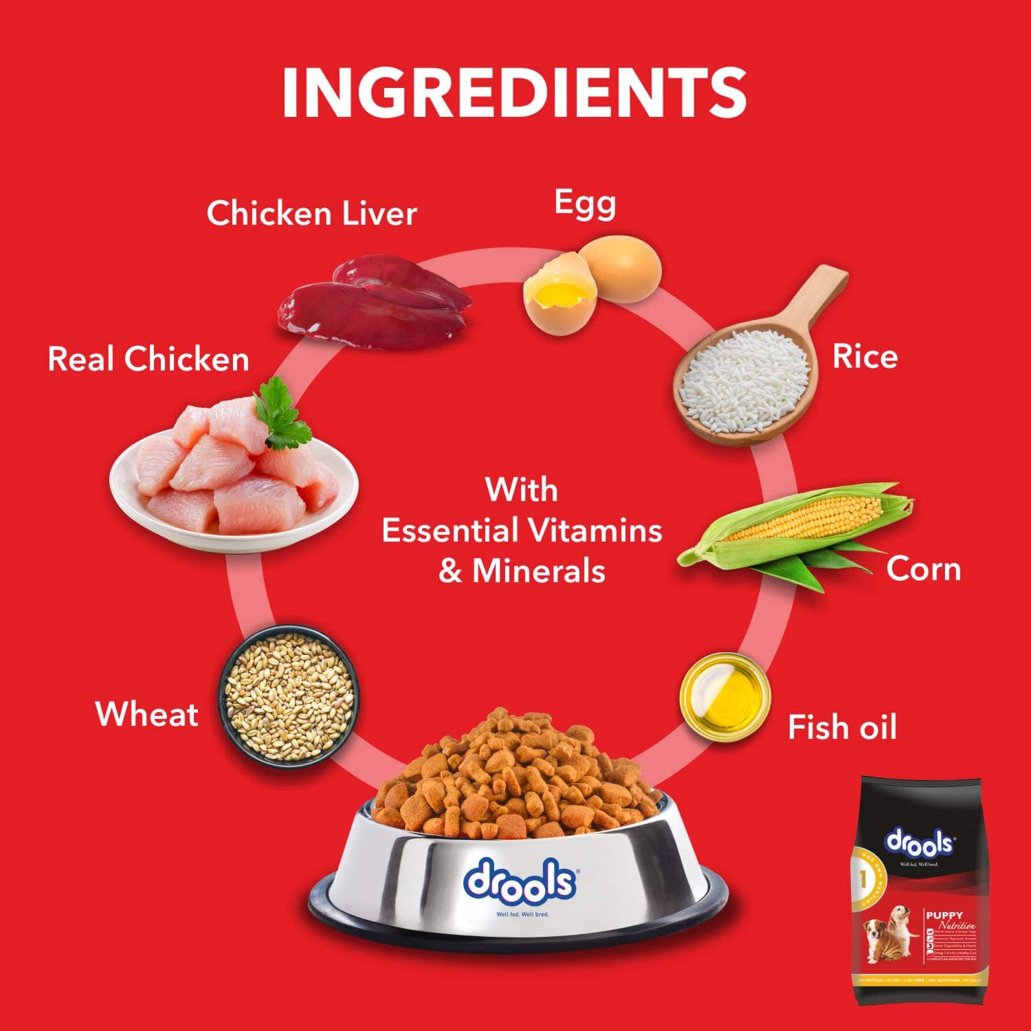 Drools Daily Nutrition Chicken and Egg Puppy Dog Dry Food