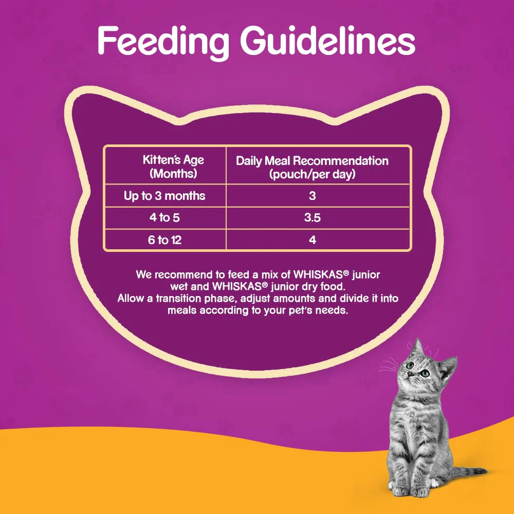 How much to feed kitten 3 months deals